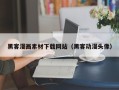 淄博黑客漫画素材下载网站（黑客动漫头像）