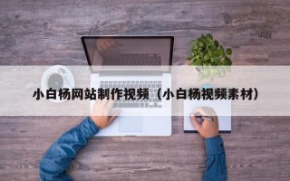 淄博小白杨网站制作视频（小白杨视频素材）
