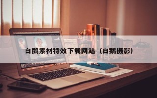 淄博白鹅素材特效下载网站（白鹅摄影）